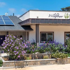 Wildflower Boutique Motel